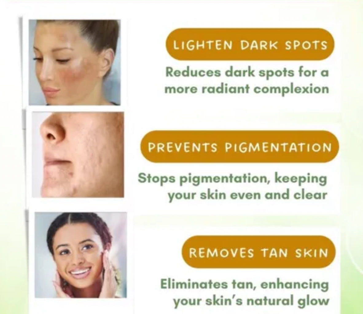 Evergreen Detox Clay Mask – Australian Made | Pores Minimiser, Glow booster & Deep Cleanser